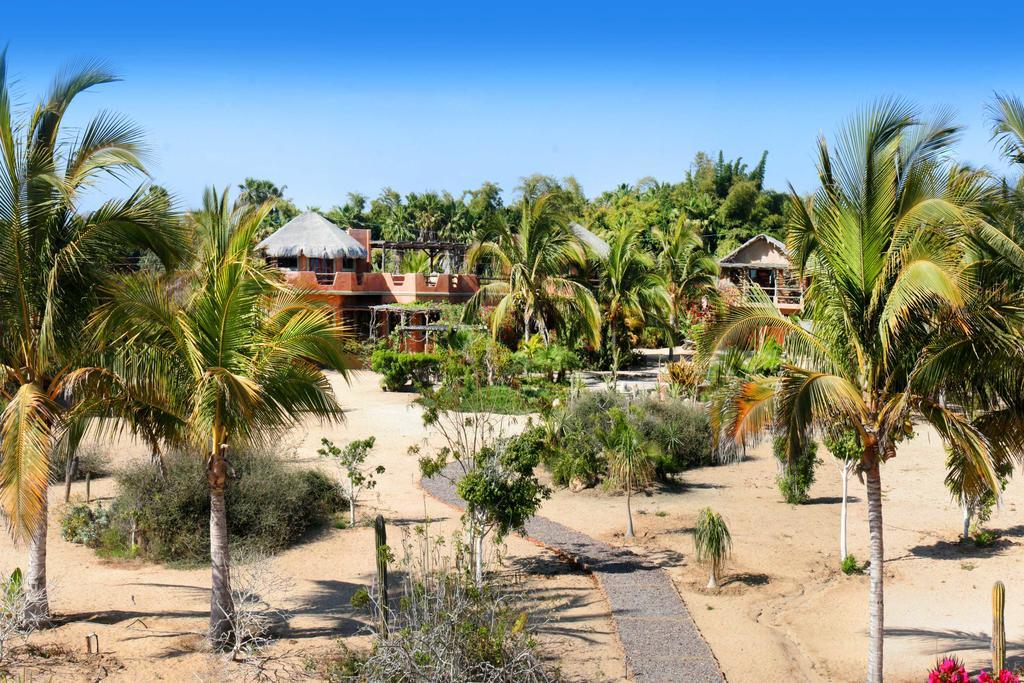 Flora Del Mar Todos Santos Exterior photo